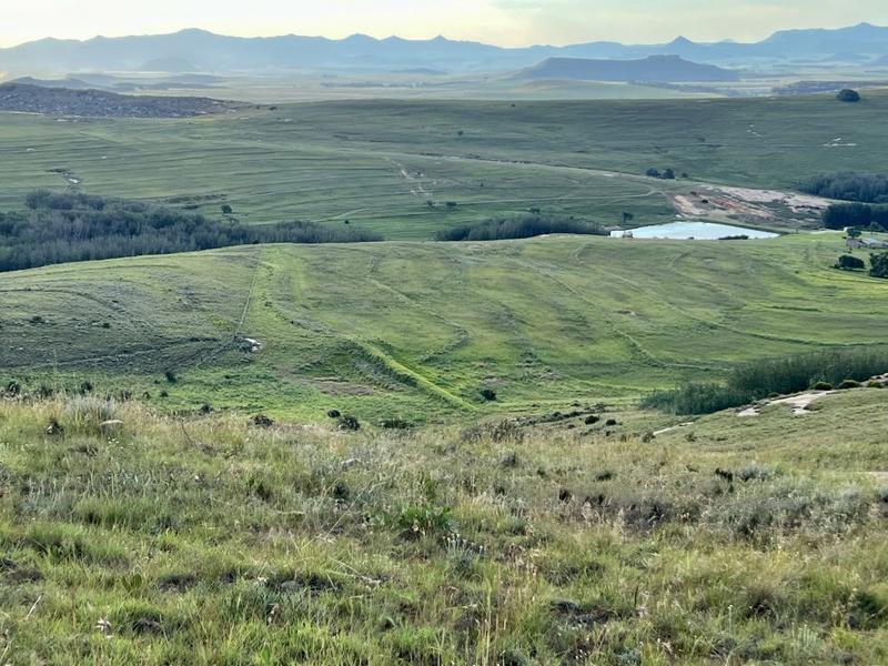 0 Bedroom Property for Sale in Fouriesburg Free State